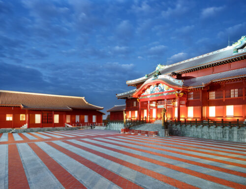 Japan Cycling Adventures 2024