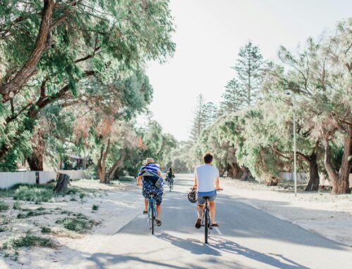 Cultural Highlights When Bicycle Touring Japan